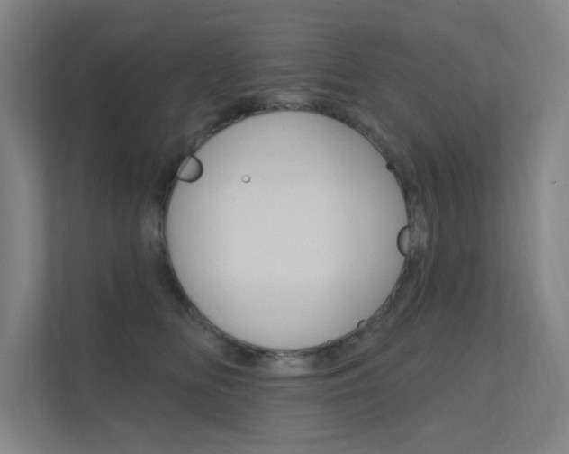 X0000112380518200908131326