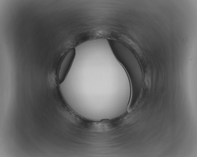 X0000112380520200908131326