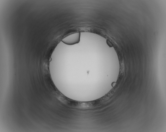 X0000112380522200908131326