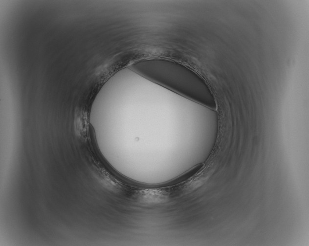 X0000112380528200908131326