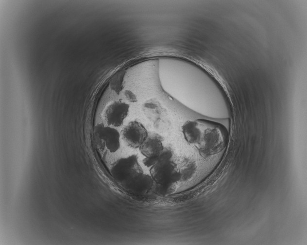 X0000112380529200908131325