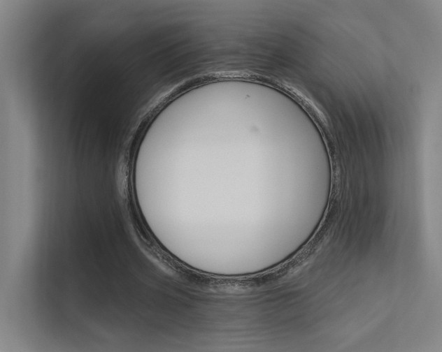 X0000112380533200908131325