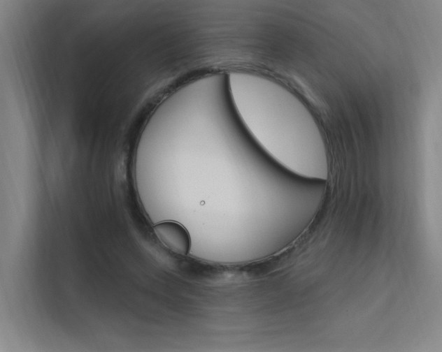 X0000112380543200908131326