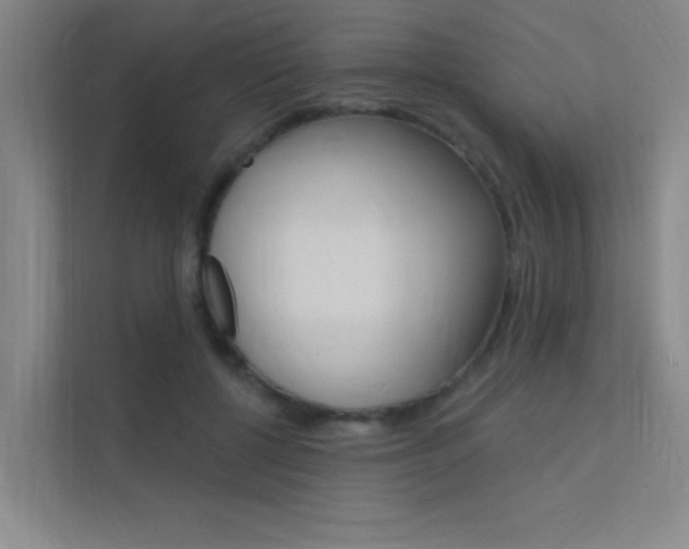 X0000112380552200908131326