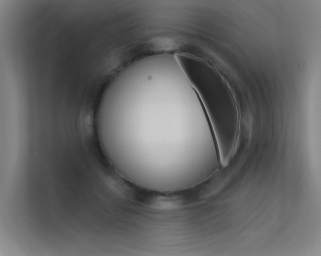 X0000112380556200908131326