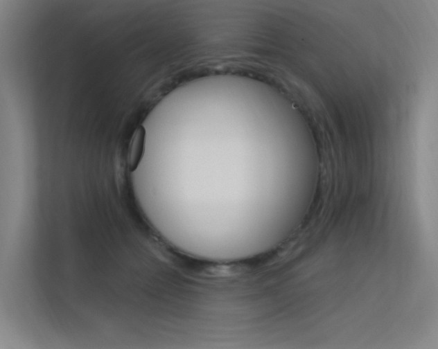 X0000112380558200908131326