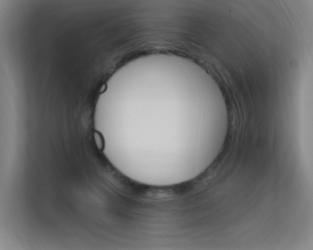 X0000112380559200908131326