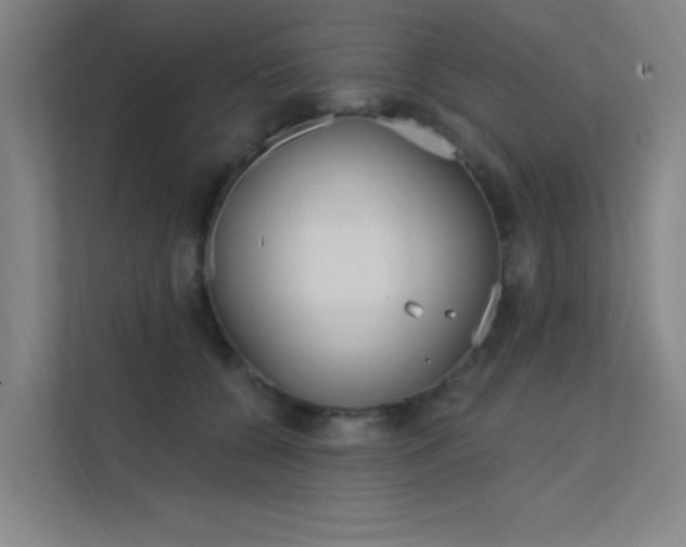 X0000112380560200908131326