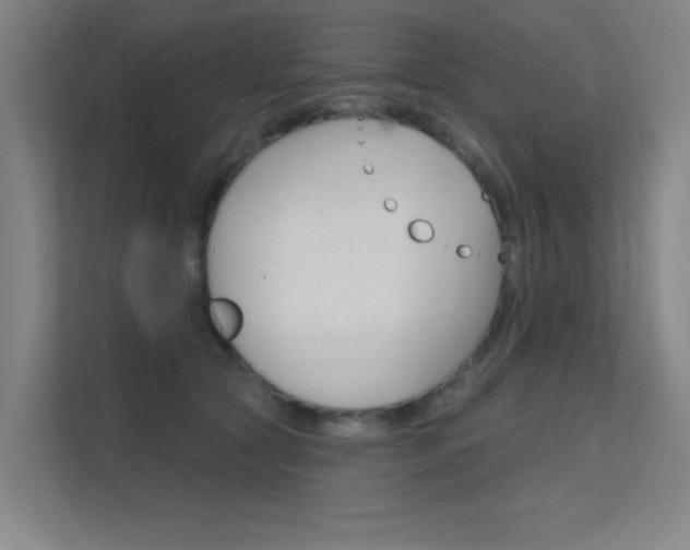 X0000112380561200908131326