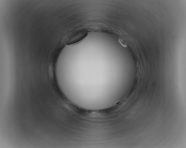 X0000112380562200908131326