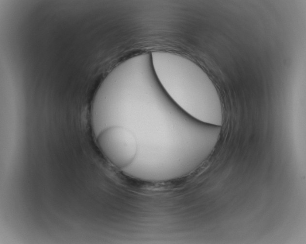 X0000112380563200908131326