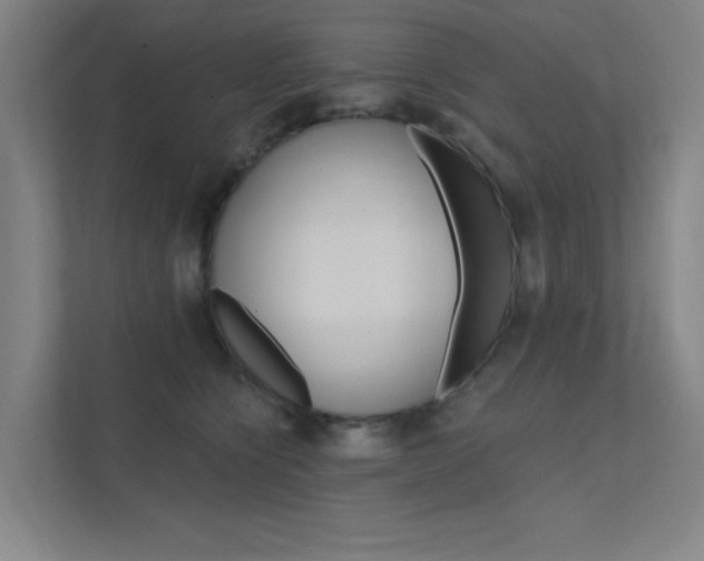 X0000112380564200908131326