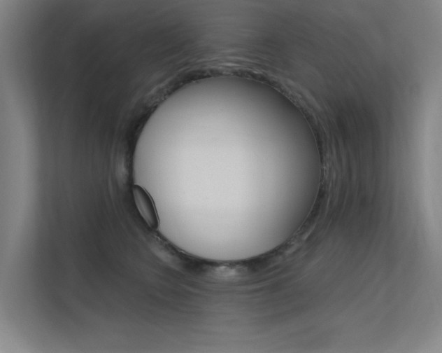 X0000112380566200908131326