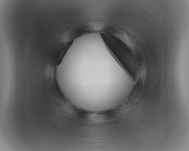 X0000112380568200908131326