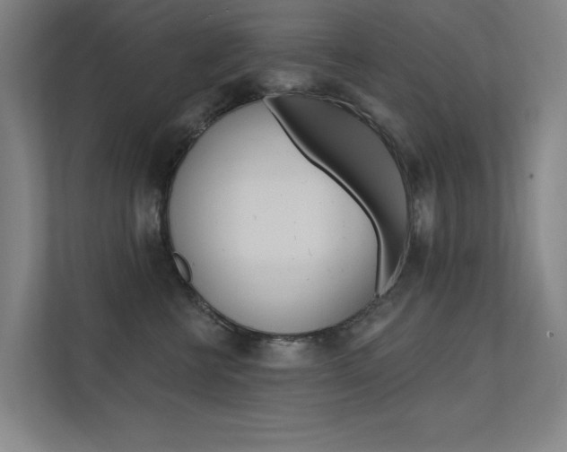 X0000112380570200908131326