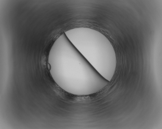 X0000112380571200908131326