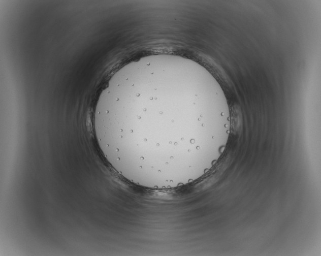 X0000112380573200908131326