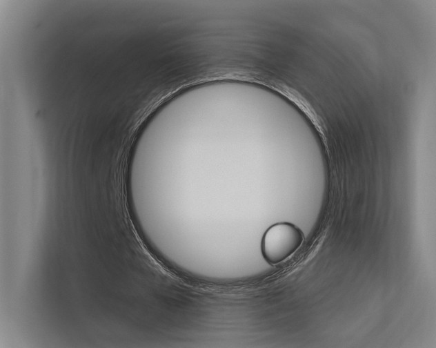 X0000112380577200908131325