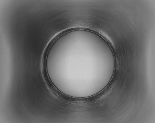 X0000112380580200908131325