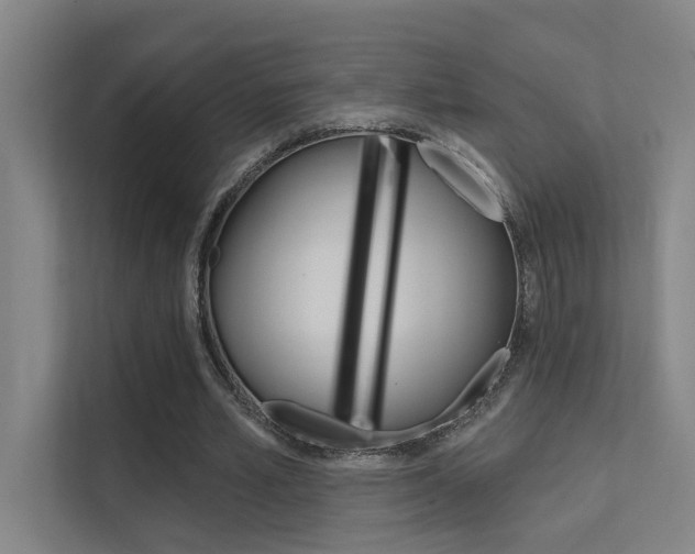 X0000112380581200908131325