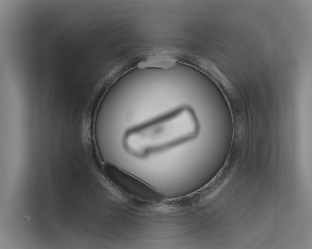 X0000112380585200908131325