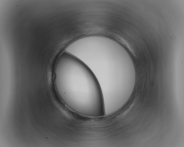 X0000112380589200908131325