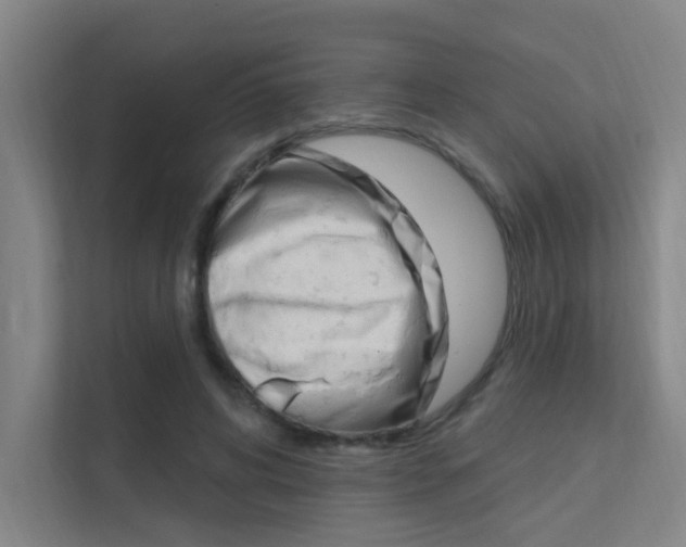 X0000112380592200908131325