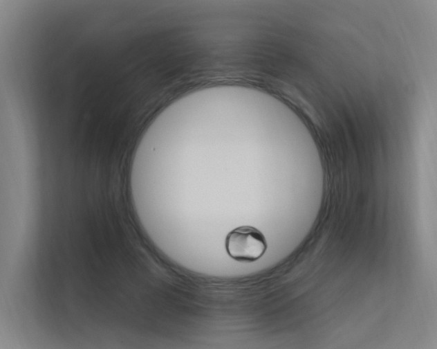 X0000112380593200908131325