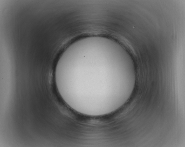 X0000112380596200908131325