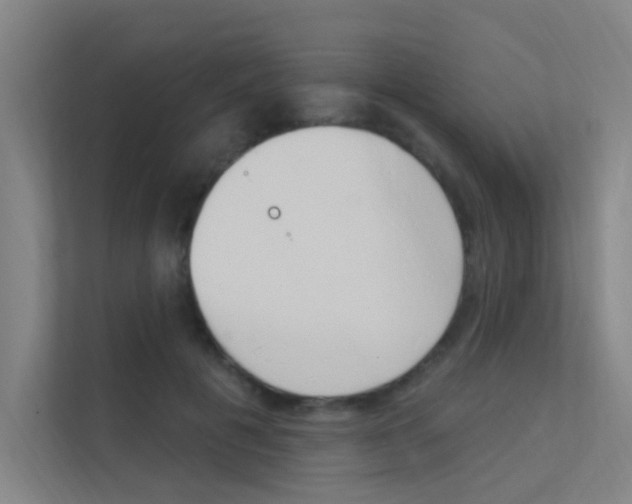 X0000112380601200908131325