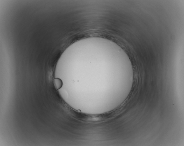 X0000112380610200908131325