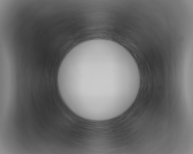 X0000112380611200908131325