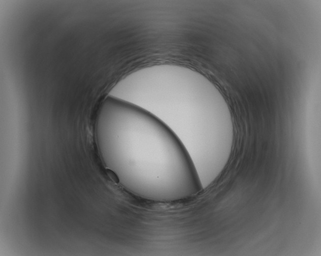 X0000112380613200908131325