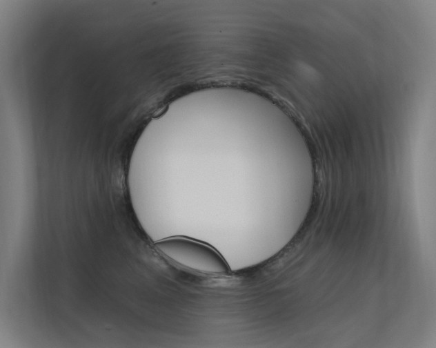 X0000112380617200908131325