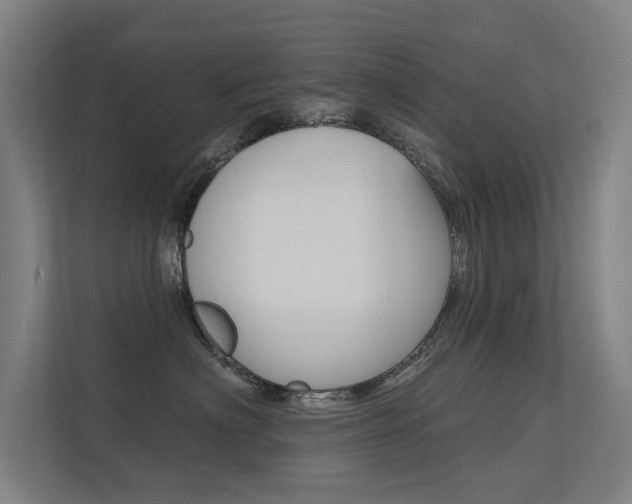 X0000112380622200908131325