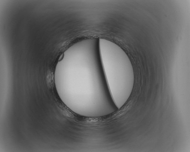 X0000112380624200908131325