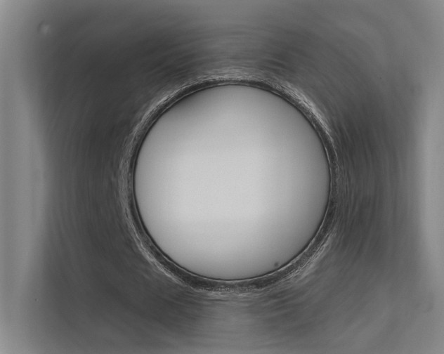 X0000112380625200908131324