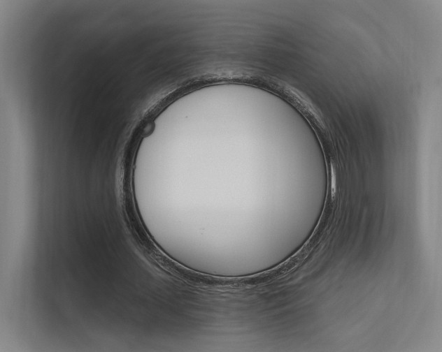 X0000112380627200908131324