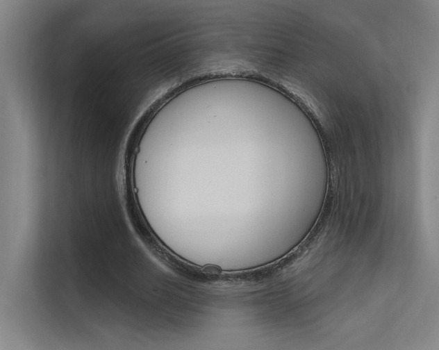 X0000112380630200908131324