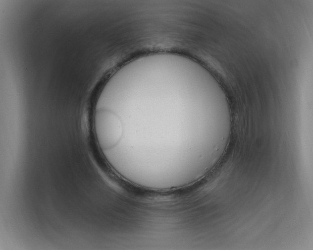 X0000112380638200908131324