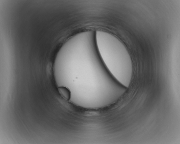 X0000112380649200908131324
