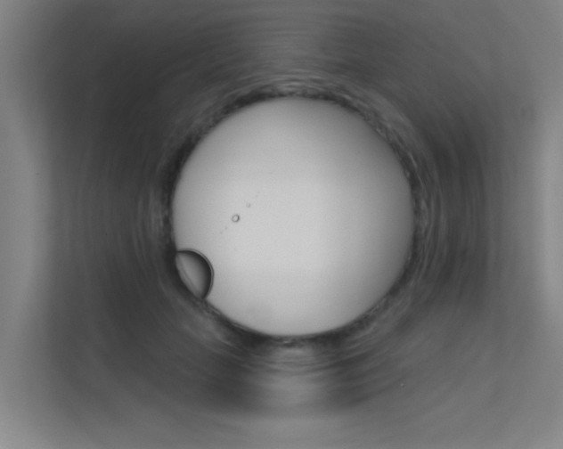 X0000112380653200908131325