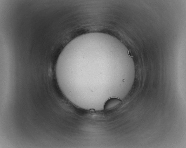 X0000112380655200908131325