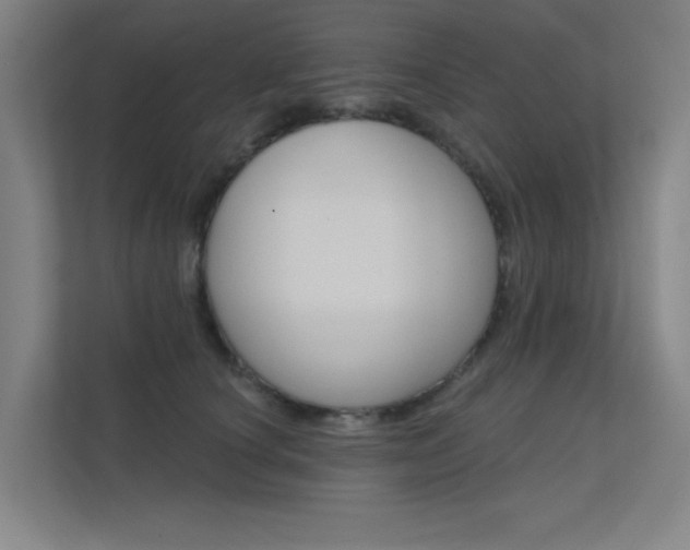 X0000112380660200908131325