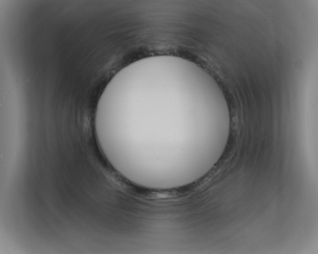 X0000112380662200908131325