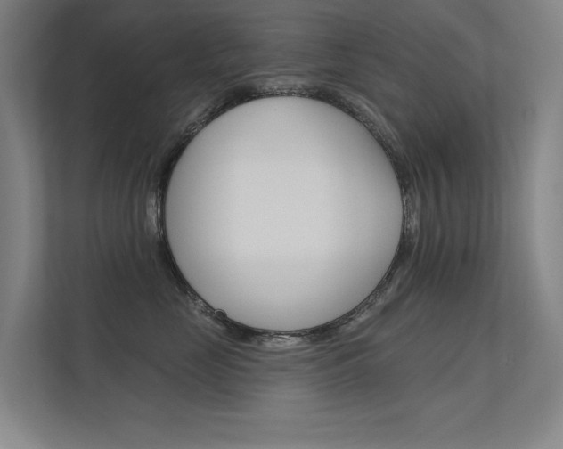 X0000112380669200908131325