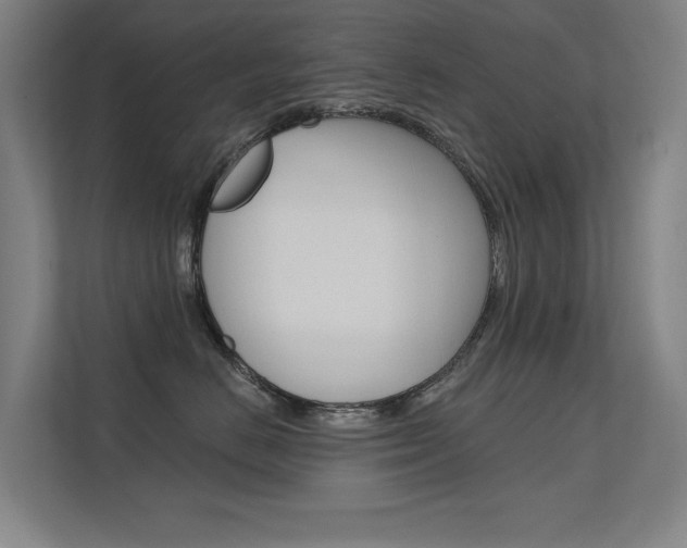 X0000112380670200908131325