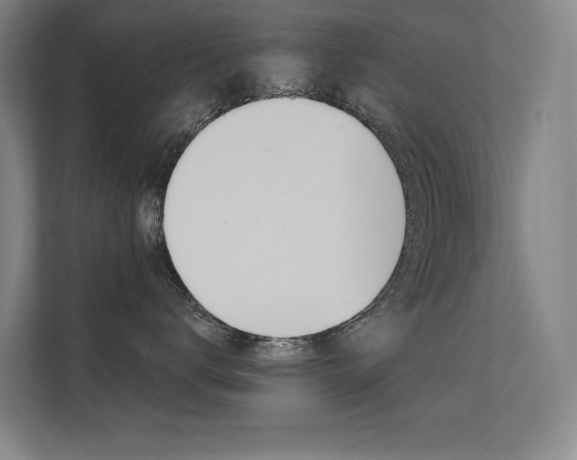 X0000112380672200908131325