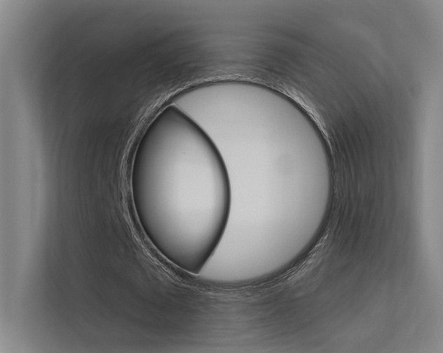 X0000112380673200908131324