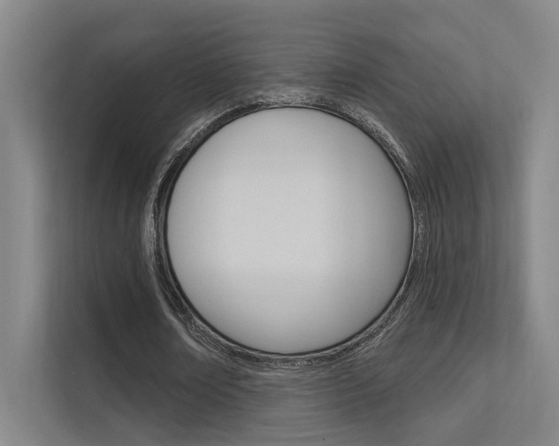 X0000112380674200908131324